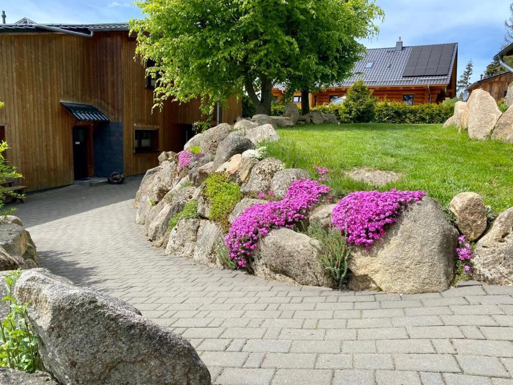 Naturstammhaus Und Appartements Zum Brockenbaecker 탠 외부 사진