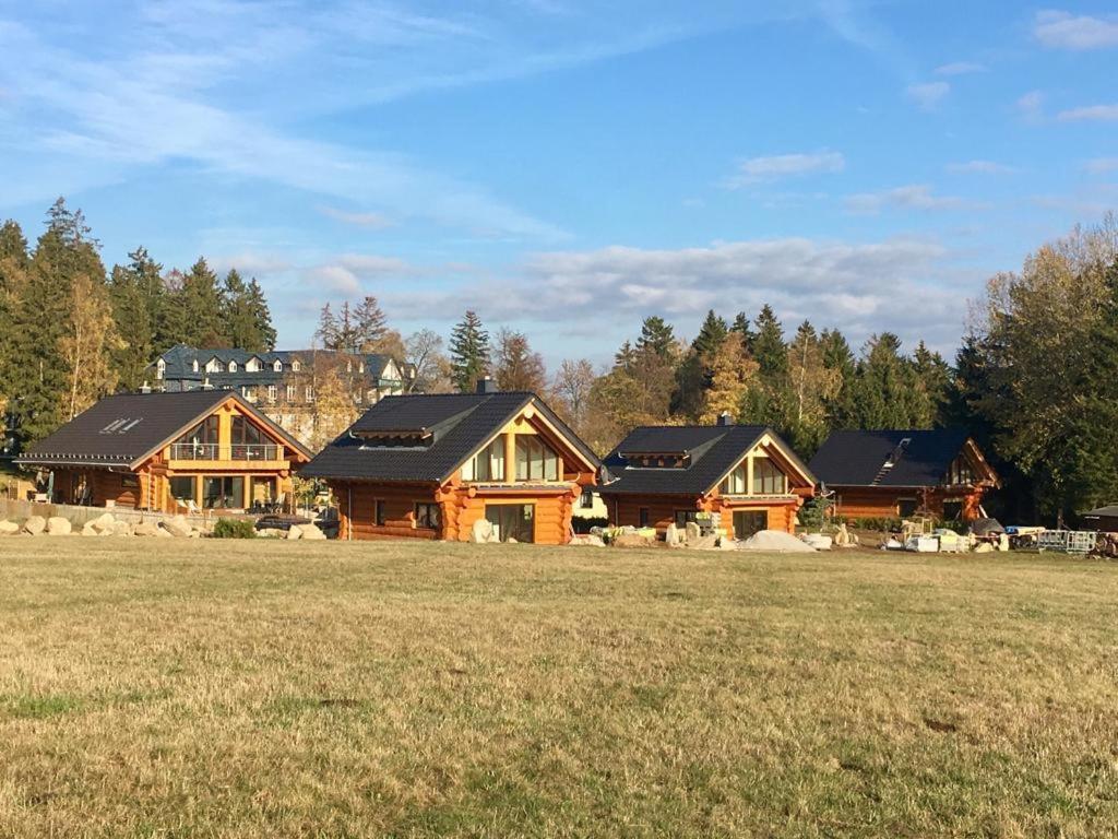Naturstammhaus Und Appartements Zum Brockenbaecker 탠 외부 사진